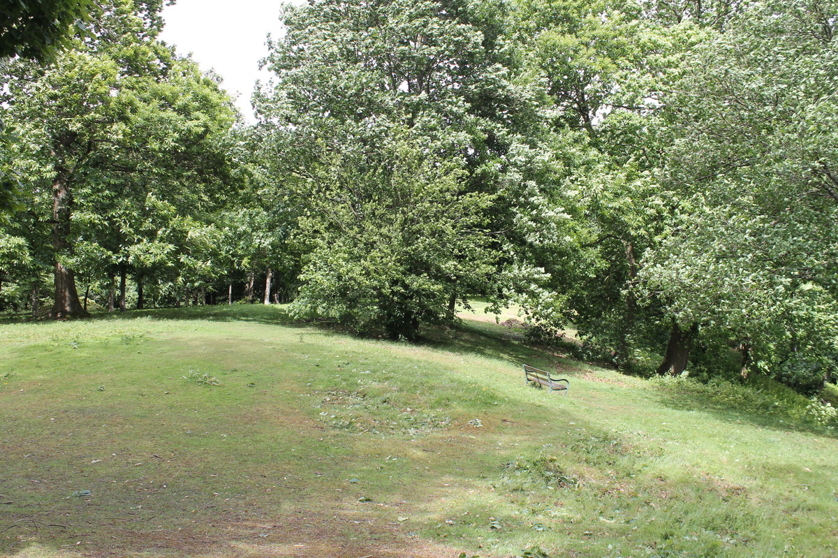 June- recent strimming, scything and hand pulling by FoD